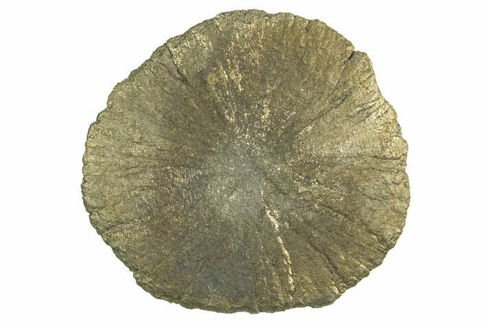 Radiant Pyrite Sun - Sparta, Illinois #342573